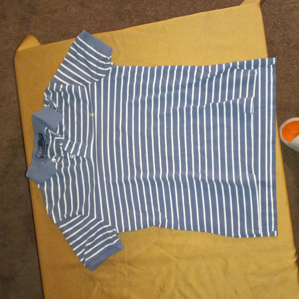 Polo by Ralph Lauren blue striped collared t-shirt